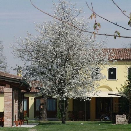Апартаменты Particolari Del Brenta Ориаго-ди-Мира Экстерьер фото