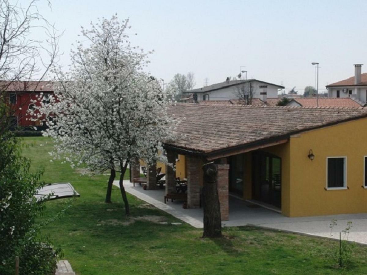 Апартаменты Particolari Del Brenta Ориаго-ди-Мира Экстерьер фото